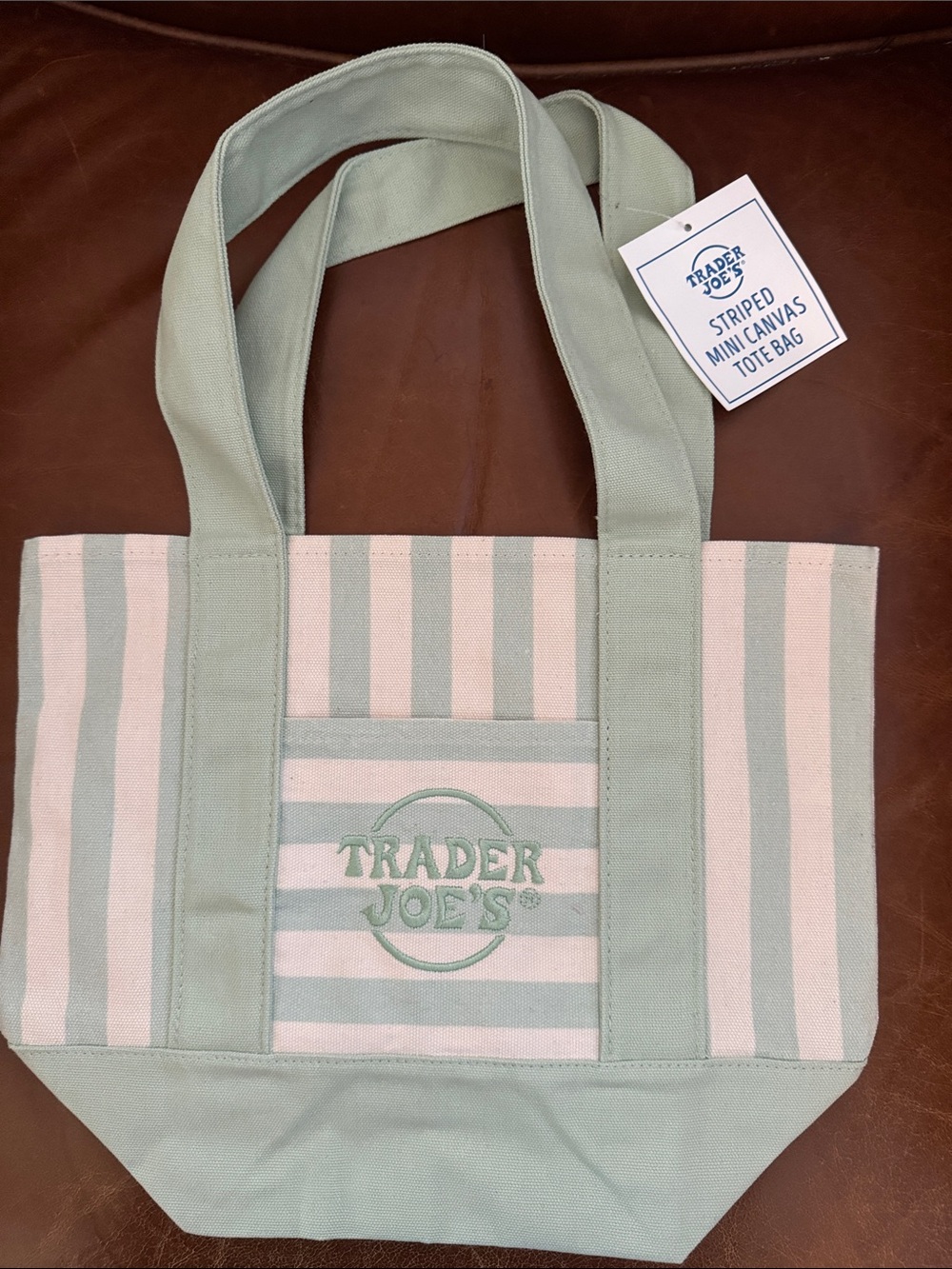 Trader Joe's NEW MINI Mint & Cream Striped Canvas Tote